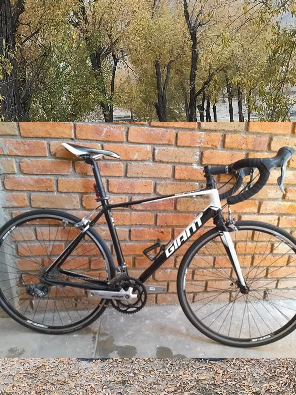 Giant Defy 3